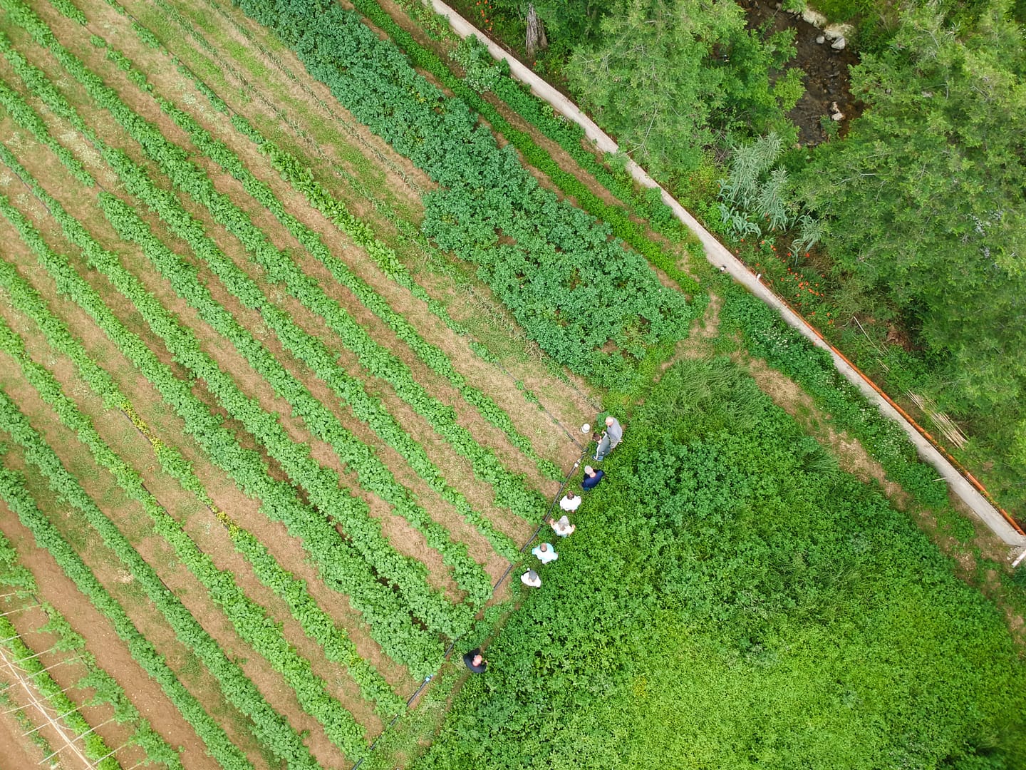 DCIM/101MEDIA/DJI_0189.JPG